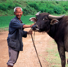 小型飼料顆粒機,農(nóng)民圓夢！